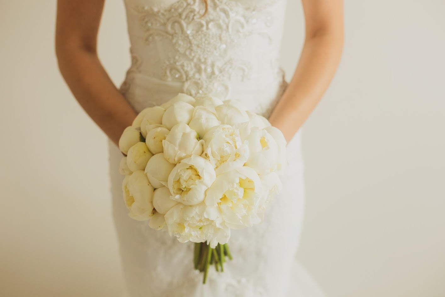 Pruudikimp pojengidest